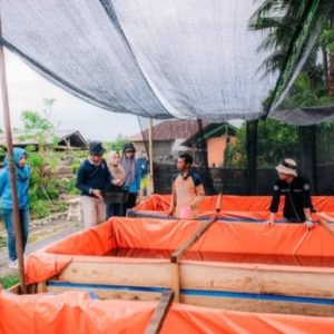Dinas Perikanan Tinjau Perkembangan Budidaya Lele Terkait Program Satu Juta Satu Pekarangan