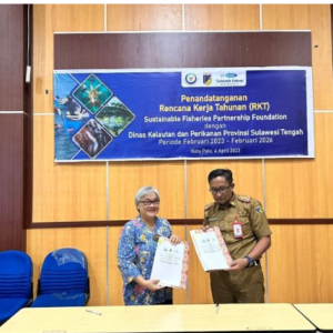 SFP dan DKP Kerja Sama Kelola Gurita-Lemadang Berkelanjutan Di Sulteng