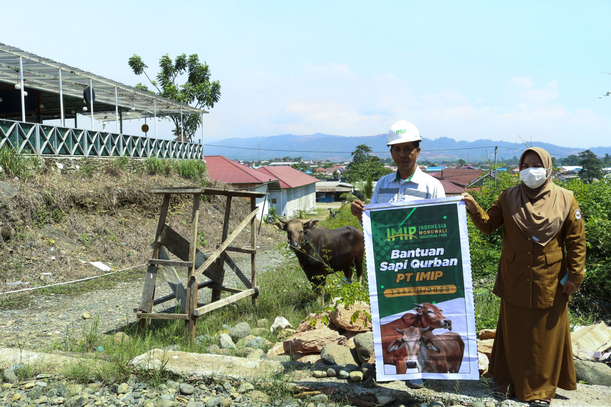 IMIP Bagikan Puluhan Ekor Sapi Qurban