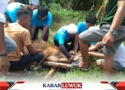 Mesjid Al Ukhuwah Maahas Sembelih 4 Sapi Dan 1 Kambing Dalam Perayaan Idul Adha 1444 H