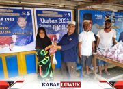 Partai NasDem Bangkep Gelar Pemotongan Hewan Kurban di Banggai Kepulauan