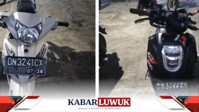 Kecelakaan di Jalan Trans Sulawesi Melibatkan Dua Sepeda Motor,Dua Pengendara Mengalami Luka-luka