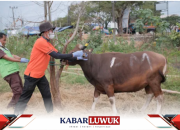 Akankah Berkurban Bisa Atasi Kemiskinan? Ini Pandangan Muhammadiyah