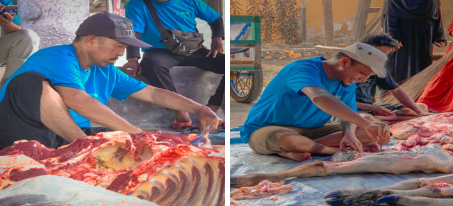 Panitia Qurban Mesjid Al Ukhuwah Kelurahan Maahas bersemangat memotong Daging Qurban sebelum dibagikan kepada Masyarakat