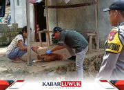 Antisipasi Rabies : Bhabinkamtibmas Desa Buon Mandiri Lakukan Vaksinasi Door To Door