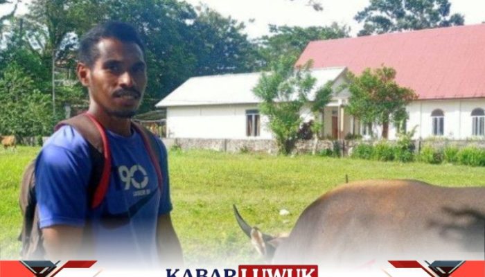 Gembala Sapi Itu Sebentar Lagi Diwisuda di UNPATTI