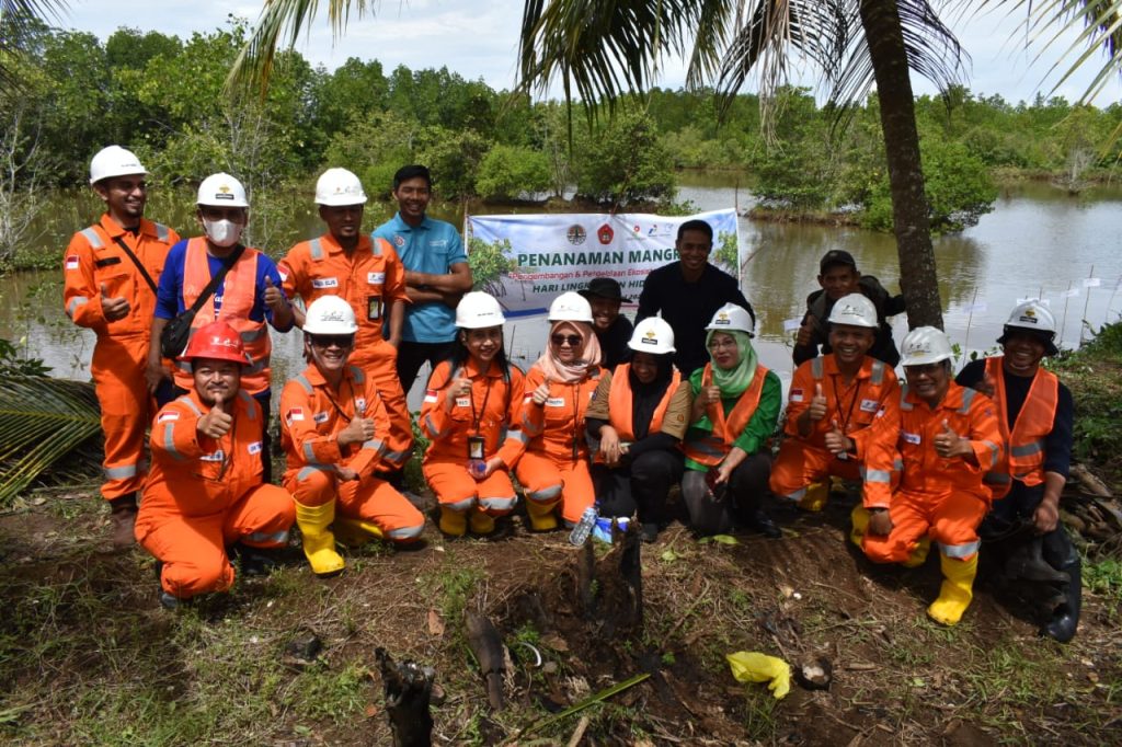Memperingati Hari Lingkungan Hidup JOB Tomori Tanam 11 Ribu Bibit Mangrove