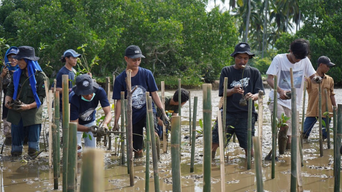 PT IMIP Kembali Tanam 3.796 Mangrove