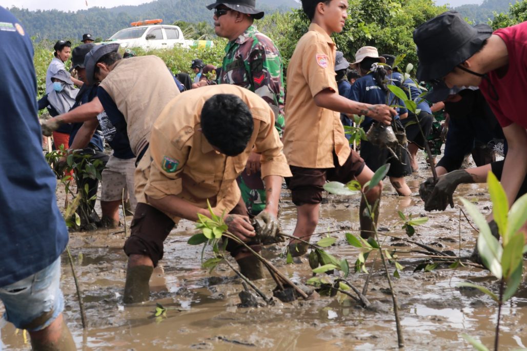 PT IMIP Kembali Tanam 3.796 Mangrove
