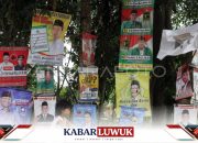 Masyarakat Banggai Mencibir Caleg yang Memasang APK di Pohon