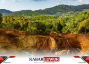 Kaji Lingkungan Tambang Terbuka Perlu Dilakukan Pemerintah Kabupaten Banggai