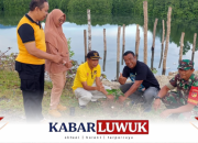 Kecamatan Pagimana dan LSM GAM Menggelar Penanaman Pohon Pelindung Sambut HUT Kabupaten Banggai Ke 63