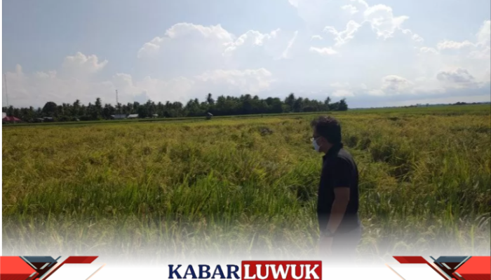 Manfaatkan Dana Desa Untuk Menjaga Ketahanan Pangan