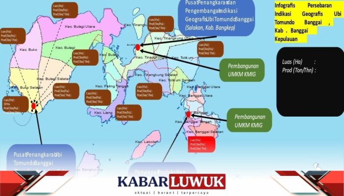 KKIG Sosialisasikan Ubi Tumondo Banggai