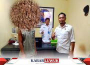 Penangkapan Terduga Pelaku Pengedar Obat-Obatan,Satu Tersangka Bawa 60 Butir Obat THD