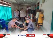 Biang Masalah, Polsek Kintom Sita 60 Kantong Cap Tikus