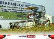 Optimisme Capaian Produksi Di Daerah Lumbung Padi Saat El Nino