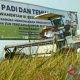 Optimisme Capaian Produksi Di Daerah Lumbung Padi Saat El Nino