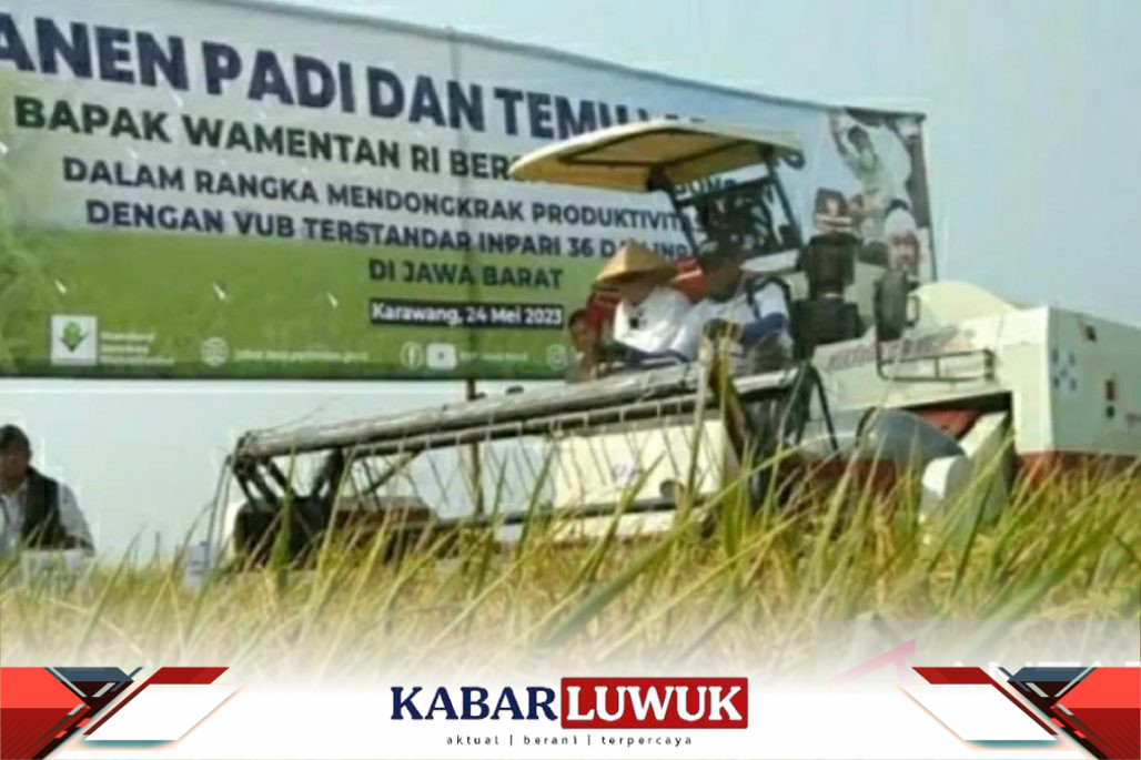 Optimisme Capaian Produksi Di Daerah Lumbung Padi Saat El Nino