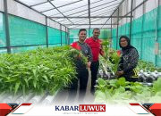 Kepala Lapas Kelas II Luwuk Awasi Kegiatan Kemandirian WBP Sesuai Regulasi Hukum