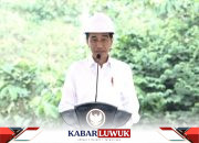 Jokowi: UMKM Berinvestasi di IKN Dibebaskan Dari PPh dan PPN