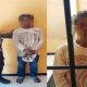 Polisi Tangkap Ayah Tega Setubuhi Anak Kandungnya di Nuhon, Banggai