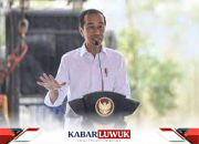 Presiden Joko Widodo Ajak Pengusaha Ikut Bangun IKN