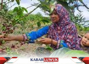 Buah Manis Dari Perjuangan Petani Perhutanan Sosial Melawan Pancaroba