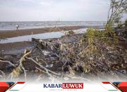 Mangrove, Penyeimbang Keanekaragaman Hayati Dan Upaya Mitigasi Bencana