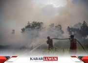 Mengatasi Siklus Empat Tahun Kebakaran Hutan Gambut