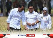 Produksi Pangan Masih Baik Meski Terdampak El Nino