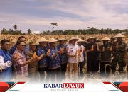 Pj. Bupati Ihsan Basir Hadiri Panen Jagung Var. Bangkep G01, Sinergi Pemerintah dan PT. DELTA untuk Pertanian Unggul