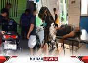 Mahasiswa Terlempar dari Motor Setelah Menabrak Truk di Kintom, Beruntung Selamat Meski Luka-Luka