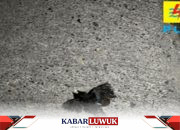 Mati Lampu Saat Sahur, Masyarakat Kabupaten Banggai Hadapi Ujian Awal Ramadhan