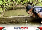 Menjaga Gunung Hapuk Sebagai Sumber Mata Air Bagi Suku Dayak Meratus