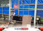 Warga Batui Diserbu Lalat, Sanitasi Kandang Ternak Ayam Dituding Jadi Penyebab