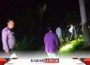 Tragis! Petani Tewas Terjatuh Saat Panjat Pohon Kelapa di Lobu