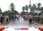 Kecelakaan Maut di Jalan Raya Desa Sidoharjo Moilong, Satu Tewas”