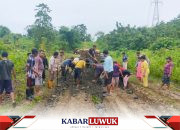 Relawan Sulianti Murad Perbaiki Jalan di Batui dan Toili