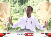 Presiden Jokowi Yakin Kualitas Udara IKN Lebih Baik dari Melbourne dan Paris