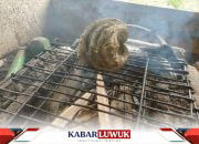 Marak Perdagangan Kima di Desa Uwedikan, Kecamatan Luwuk Timur: Warga Harapkan Tindakan Tegas Aparat