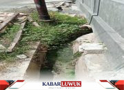 Waspada DBD di Kabupaten Banggai,Warga Minta Fogging