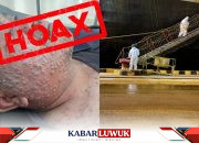 Klarifikasi Informasi Hoax Virus Cacar Monyet