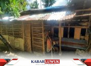 Kegagalan Program Satu Juta Satu Pekarangan di Banggai, Hanya Sedikit yang Bertahan