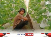 DSLNG Meluncurkan Program Pelatihan Pertanian Berkelanjutan, Solusi Proaktif Menghadapi Krisis Pangan Global