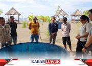 Job Tomori Gelar Penguatan Konservasi Penyu Buka Peluang Ekowisata Berkelanjutan di Sinorang 