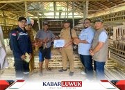 Dukung Ketahanan Pangan, DSLNG Salurkan 200 Ekor Bibit Ayam Petelur