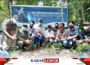 DSLNG Prioritaskan Konservasi Maleo Sebagai Komitmen Keberlanjutan di Kabupaten Banggai