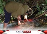 Polisi Amankan Senjata Rakitan dan Amunisi yang Ditemukan di Desa Alitupu Poso
