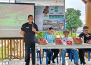 JOB Tomori Bantu Petani Lawan Hama Tikus dan Ciptakan Pupuk Organik dari Limbah